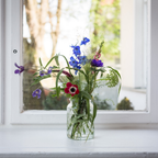 Glaswindlicht / Vase Klar – Rautenstruktur – 2 Größen